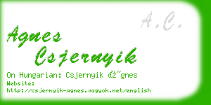 agnes csjernyik business card